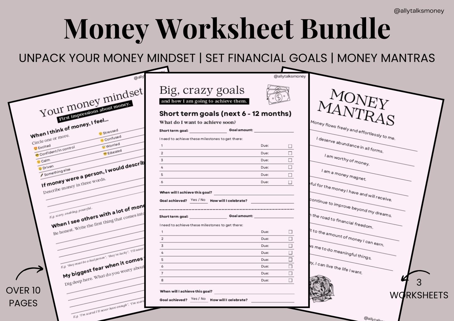 Money worksheet bundle, financial worksheets